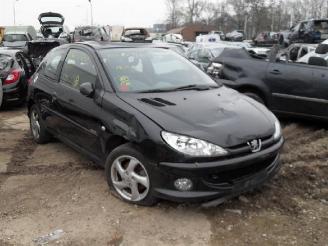Peugeot 206 1.6 hdi picture 2