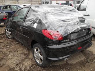 Peugeot 206 1.6 hdi picture 3