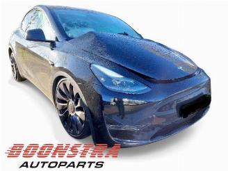 Tesla Model Y Model Y (5YJY), SUV, 2019 / 2025 Long Range,Performance picture 4