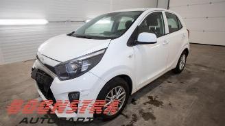 Salvage car Kia Picanto Picanto (JA), Hatchback, 2017 1.0 DPi 12V 2023/6