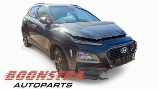 Hyundai Kona Kona (OS), SUV, 2017 / 2023 1.0 T-GDI 12V picture 7