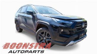 Toyota Rav-4 RAV4 (A5), Terreinwagen, 2018 2.5 Hybrid 16V AWD picture 7