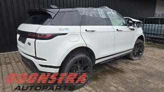Land Rover Range Rover Range Rover Evoque II (LZC/LZS/LZH), SUV, 2018 1.5 P300e 12V AWD picture 4