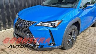 Lexus UX UX, SUV, 2019 250h 2.0 16V picture 22