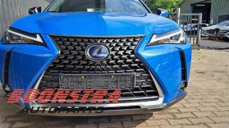 Lexus UX UX, SUV, 2019 250h 2.0 16V picture 21