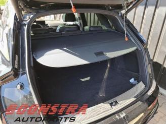 Audi SQ5 SQ5 (FYB/FYG), SUV, 2016 3.0 TFSI V6 24V picture 21