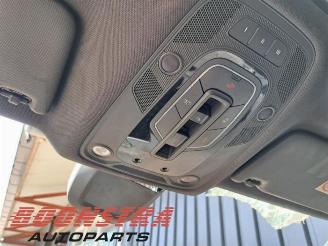 Audi SQ5 SQ5 (FYB/FYG), SUV, 2016 3.0 TFSI V6 24V picture 19