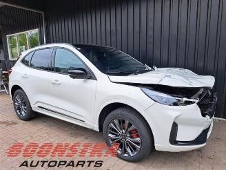 Ford Kuga Kuga III (DFK), SUV, 2019 2.5 PHEV 16V picture 2