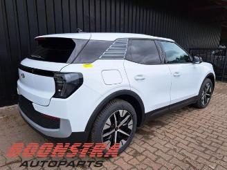 Ford Explorer Explorer (CX740), SUV, 2019 Extended Range RWD 77 kWh picture 4