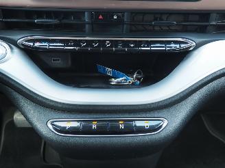 Fiat 500C Icon 42 Kwh picture 25