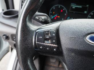 Ford Transit 2.0TDCI L4H3 Trend Motorschaden picture 23