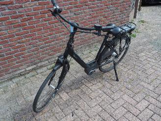 Batavus  Wayz E-go  Active picture 2