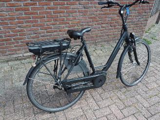 Batavus  Wayz E-go  Active picture 5