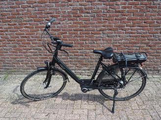 dommages vélos Batavus  Wayz E-go  Active 2020/6
