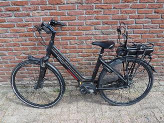 dommages vélos Stella  Vincenza 2024/6