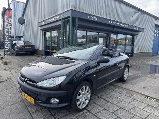  Peugeot 206 2.0 16V cabriolet 2002/1