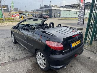 Peugeot 206 2.0 16V cabriolet picture 5
