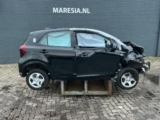 Sloopauto Kia Picanto Picanto (JA), Hatchback, 2017 1.0 DPI 12V 2025/4