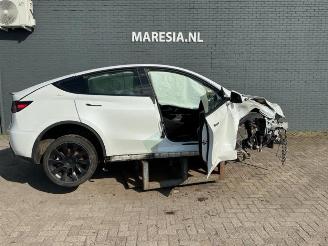 Tesla Model Y Model Y (5YJY), SUV, 2019 / 2025 Long Range,Performance picture 4