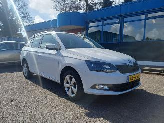 Damaged car Skoda Fabia Ambition 2018/2