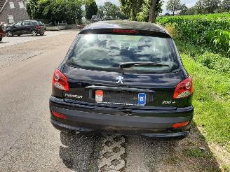 Peugeot 206+  picture 7