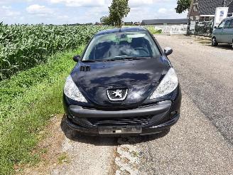 Peugeot 206+  picture 2