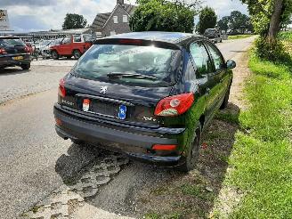 Peugeot 206+  picture 6