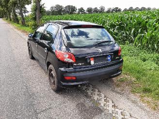 Peugeot 206+  picture 5