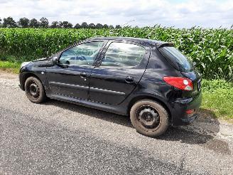 Peugeot 206+  picture 4