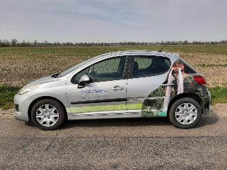 skadebil auto Peugeot 207 1.4 VTI 16V 2010/6