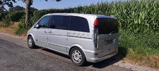 Mercedes Viano  picture 3