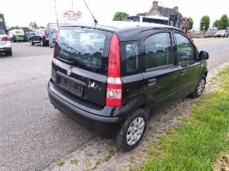 Fiat Panda  picture 3