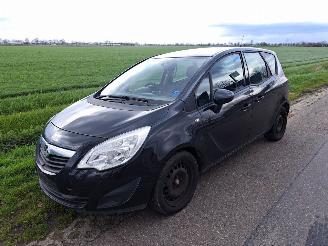 Opel Meriva 1.4 16v picture 1