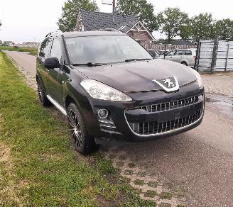 Peugeot 4007  picture 6