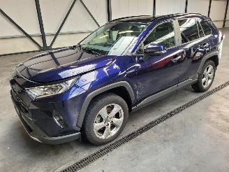  Toyota Rav-4 Hybrid 2.5 131-KW Automaat 2-WD Panoramadak 2019/1