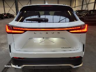 Lexus NX 450+ Plug-In-Hybrid 227-KW Automaat 4-WD F-SPORT picture 13