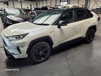 Toyota Rav-4 Hybrid 2.5 131-KW Automaat AWD picture 19