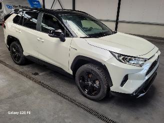 Coche accidentado Toyota Rav-4 Hybrid 2.5 131-KW Automaat AWD 2019/8