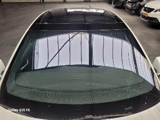 Tesla Model S 100d 386-KW Automaat AWD Panoramadak picture 12
