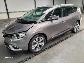  Renault Grand-scenic 1.3 TCE 103-KW Automaat Intens 2019/8