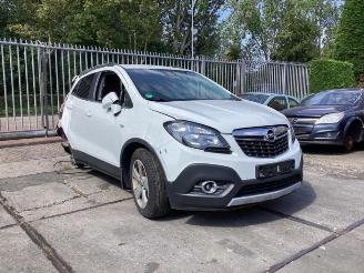 Opel Mokka  picture 1