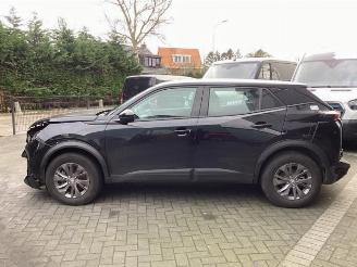 Peugeot 2008 2008 (UD/UK/UR/US/UX), MPV, 2019 e-2008 50 kWh picture 8