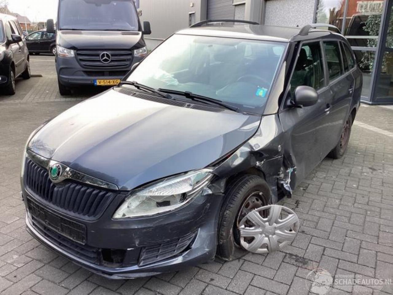 Skoda Fabia Fabia II Combi, Combi 5-drs, 2007 / 2015 1.2i 12V