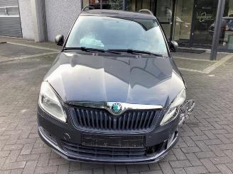 Skoda Fabia Fabia II Combi, Combi 5-drs, 2007 / 2015 1.2i 12V picture 2