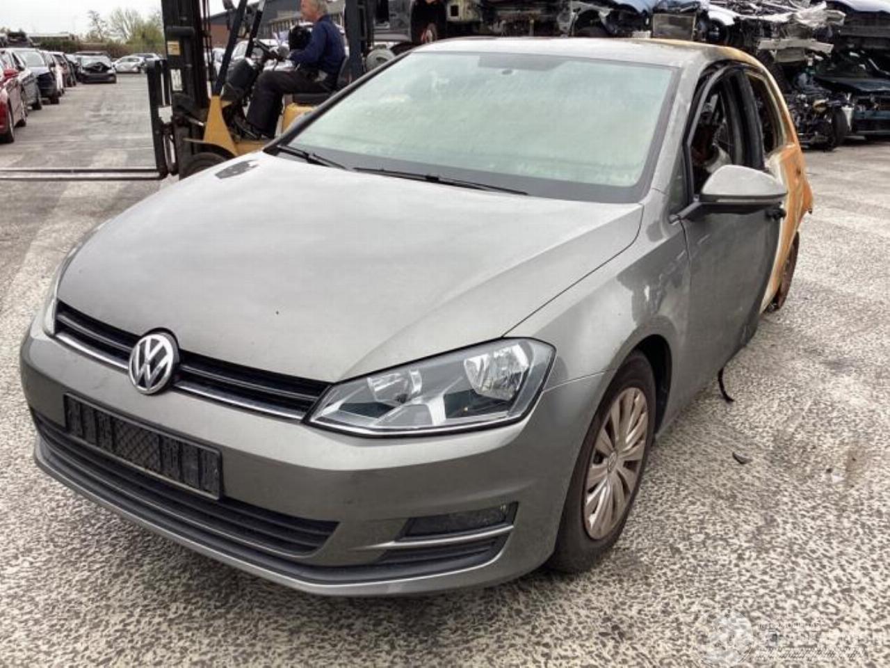 Volkswagen Golf Golf VII (AUA), Hatchback, 2012 / 2021 1.2 TSI BlueMotion 16V