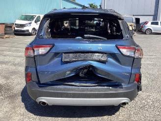 Ford Kuga Kuga III (DFK), SUV, 2019 2.5 PHEV 16V picture 6