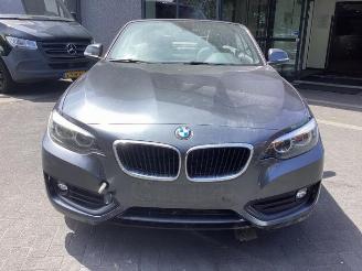 BMW 2-serie 2 serie (F23), Cabrio, 2014 / 2021 218i 1.5 TwinPower Turbo 12V picture 2