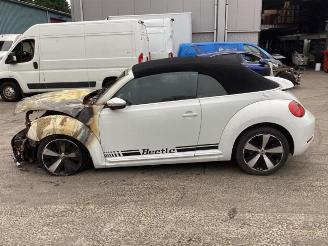 Volkswagen Beetle Beetle (16AE), Cabrio, 2011 / 2019 1.4 TSI 16V picture 8