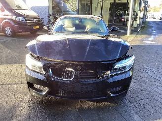 BMW Z4 S Drive High Executive picture 2