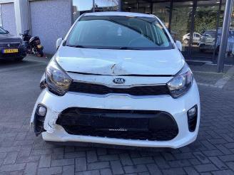Kia Picanto Picanto (JA), Hatchback, 2017 1.0 12V picture 2